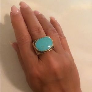 🦬 Turquoise and Sterling Dome Ring